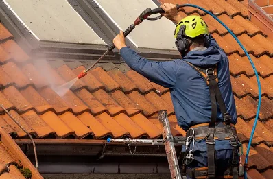Démoussage et hydrofuge de toiture à Tournon